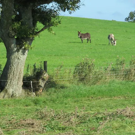 Shannon Vale Woodford (Connacht)