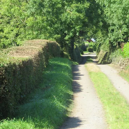 Shannon Vale *