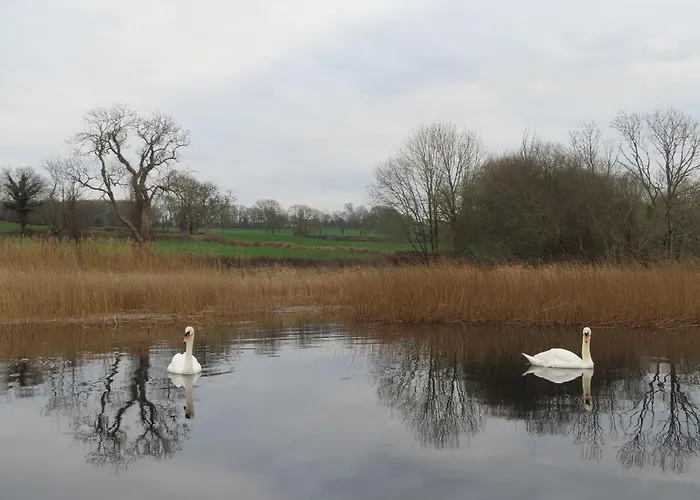 Shannon Vale Ferienhaus Woodford (Connacht)