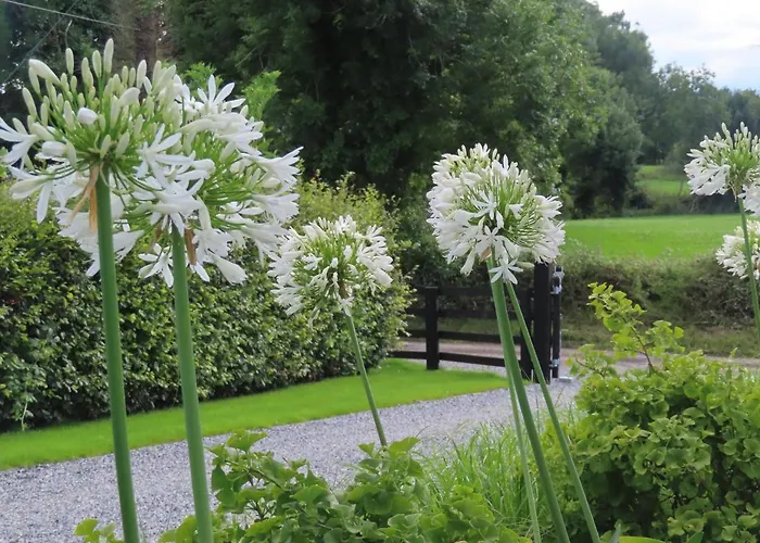 Shannon Vale Ferienhaus