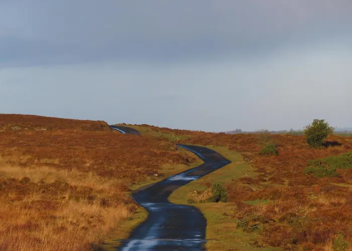 Ferienhaus Shannon Vale Woodford (Connacht)